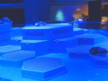 AOAO SAPPOROに投稿された画像（2024/6/28）