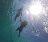 宮古島 ADVENTURE PiPi（ミヤコジマ アドベンチャー ピピ）に投稿された画像（2024/6/29）