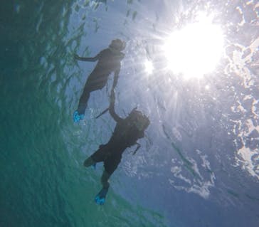 宮古島 ADVENTURE PiPi（ミヤコジマ アドベンチャー ピピ）に投稿された画像（2024/6/29）