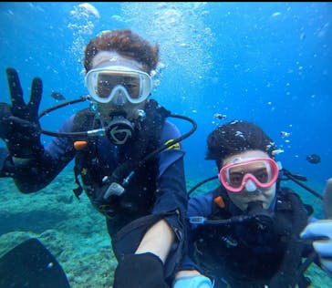 武藤潜水に投稿された画像（2024/6/29）