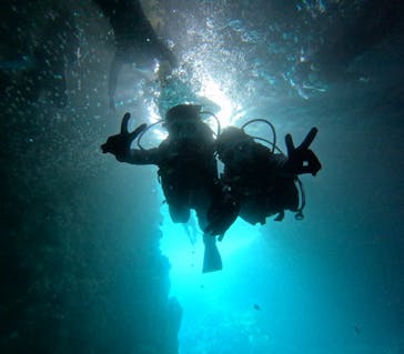 沖縄マリンサービス碧に投稿された画像（2024/6/29）