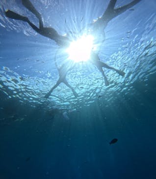 沖縄マリンサービス碧に投稿された画像（2024/6/29）