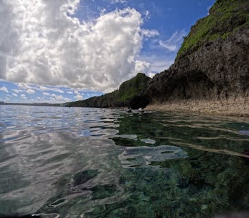 沖縄マリンサービス碧に投稿された画像（2024/6/29）