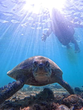 宮古島 ADVENTURE PiPi（ミヤコジマ アドベンチャー ピピ）に投稿された画像（2024/6/29）