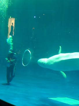 島根県立 しまね海洋館に投稿された画像（2024/6/29）