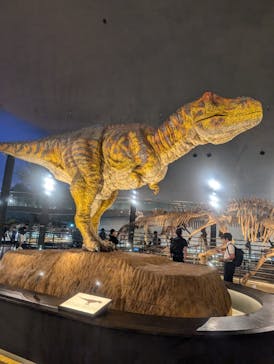 福井県立恐竜博物館に投稿された画像（2024/6/29）
