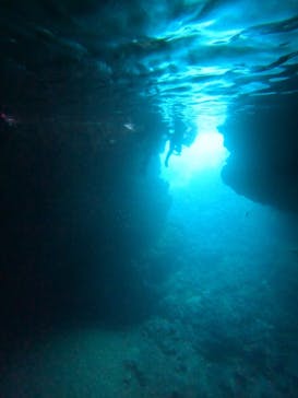 沖縄マリンサービス碧に投稿された画像（2024/6/29）