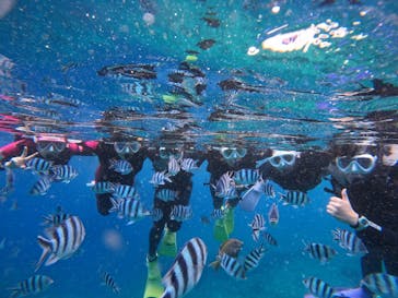 沖縄マリンサービス碧に投稿された画像（2024/6/29）