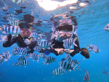 武藤潜水に投稿された画像（2024/6/29）