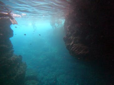 武藤潜水に投稿された画像（2024/6/29）