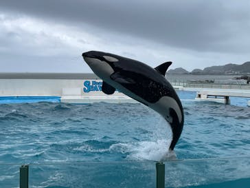 鴨川シーワールドに投稿された画像（2024/6/29）
