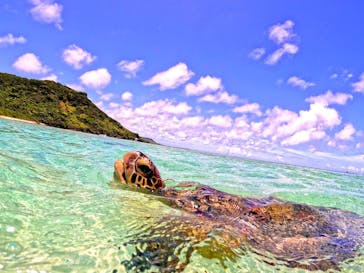 宮古島 ADVENTURE PiPi（ミヤコジマ アドベンチャー ピピ）に投稿された画像（2024/6/29）