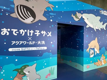 アクアワールド茨城県大洗水族館に投稿された画像（2024/6/29）