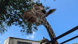 宇都宮動物園に投稿された画像（2024/6/29）