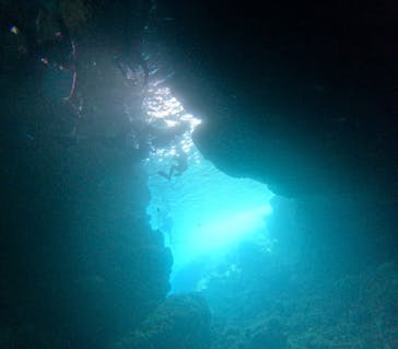 青の洞窟専門店　沖縄ダイビングショップ和に投稿された画像（2024/6/29）