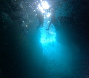 沖縄マリンサービス碧に投稿された画像（2024/6/29）