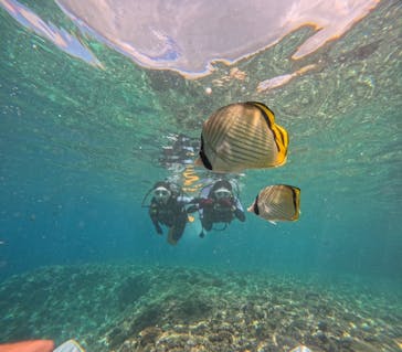 沖縄マリンサービス碧に投稿された画像（2024/6/29）