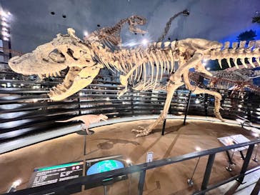 福井県立恐竜博物館に投稿された画像（2024/6/29）