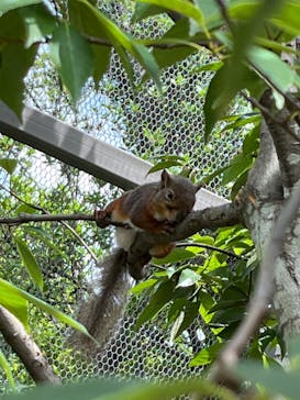 神戸どうぶつ王国に投稿された画像（2024/6/29）