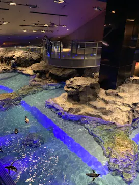 すみだ水族館に投稿された画像（2024/6/29）