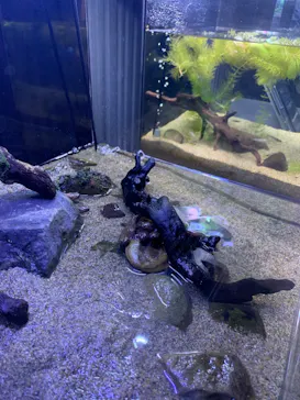 すみだ水族館に投稿された画像（2024/6/29）