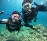 武藤潜水に投稿された画像（2024/6/29）