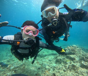 武藤潜水に投稿された画像（2024/6/29）