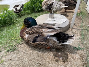 NESTA RESORT KOBE（ネスタリゾート神戸）に投稿された画像（2024/6/29）