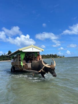 西表島 ADVENTURE PiPi（アドベンチャーピピ）に投稿された画像（2024/6/29）