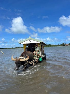 西表島 ADVENTURE PiPi（アドベンチャーピピ）に投稿された画像（2024/6/29）