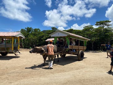 西表島 ADVENTURE PiPi（アドベンチャーピピ）に投稿された画像（2024/6/29）