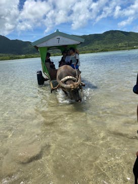 西表島 ADVENTURE PiPi（アドベンチャーピピ）に投稿された画像（2024/6/29）