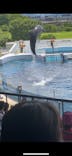 京都水族館に投稿された画像（2024/6/29）