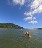 西表島 ADVENTURE PiPi（アドベンチャーピピ）に投稿された画像（2024/6/29）