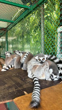 那須ワールドモンキーパークに投稿された画像（2024/6/29）