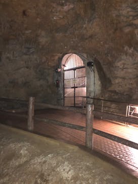 おきなわワールドに投稿された画像（2024/6/29）