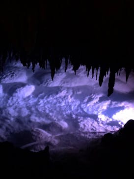 おきなわワールドに投稿された画像（2024/6/29）