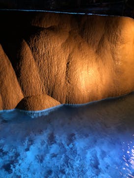 おきなわワールドに投稿された画像（2024/6/29）