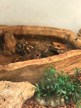 おきなわワールドに投稿された画像（2024/6/29）