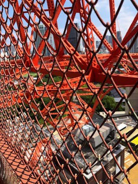 東京タワーに投稿された画像（2024/6/29）