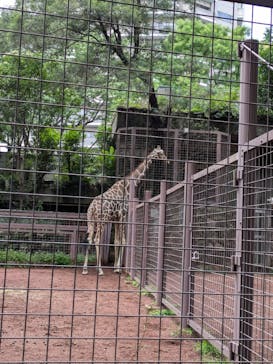 恩賜上野動物園に投稿された画像（2024/6/29）