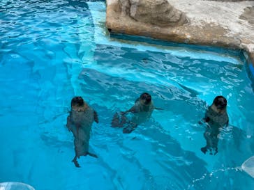 マリンワールド海の中道に投稿された画像（2024/6/29）