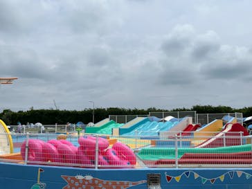 蓮沼ウォーターガーデンに投稿された画像（2024/6/29）