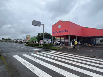 蓮沼ウォーターガーデンに投稿された画像（2024/6/29）