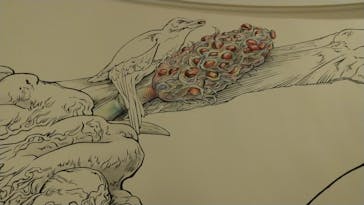 カルティエと日本　半世紀のあゆみ　「結 MUSUBI」展 ― 美と芸術をめぐる対話（東京国立博物館　表慶館））に投稿された画像（2024/6/29）