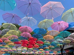 十勝ヒルズに投稿された画像（2024/6/29）