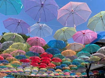 十勝ヒルズに投稿された画像（2024/6/29）