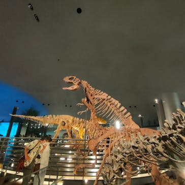 福井県立恐竜博物館に投稿された画像（2024/6/29）