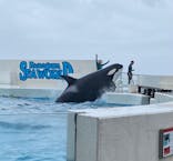 鴨川シーワールドに投稿された画像（2024/6/29）