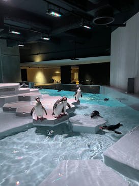 AOAO SAPPOROに投稿された画像（2024/6/29）